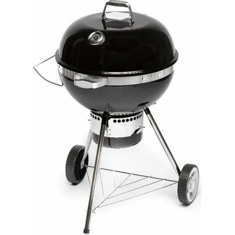 Barbecue Portatile Fieldmann FZG 1017 Metallo Acciaio (1/5)