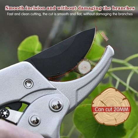 Sécateur - 20 5 Cm - Coupe Jusqu A 20 Mm - Pour Taille De Tiges Et Branches - 1 Piece (1/4)