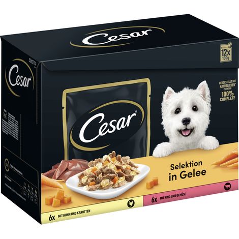 Cesar Hundenassfutter Selektion in Gelee Adult 12 x 100 g Huhn & Rind