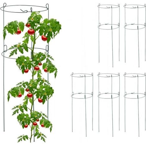 Supporti rotondi per arrampicata in set da 6 (1/5)