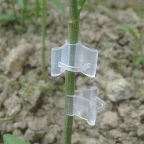 Veredelungsclips für Pflanzen – 100 Stück – Ranken- und Pflanzenclips für den Gartenbau – PE – 2,5 cm