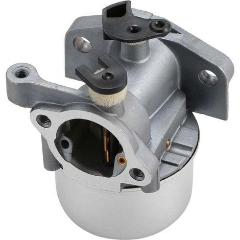 Carburateur de Remplacement pour Briggs & Stratton 799871, 790845, 799866, 796707, 794304 (1/4)