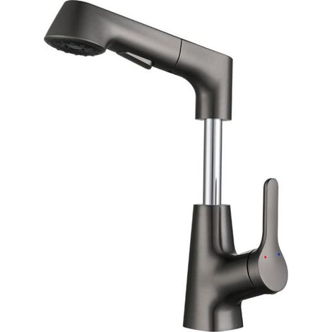 Robinet De Cuisine Extensible Avec Douchette Deux Jets Robinet Évier pivotant 360° Mitigeur Cuisine Acier Inoxydable Gris (1/4)