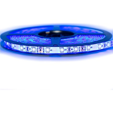 Kit de cinta profesional 3528 - 60 leds/m - 1m, 2.5m, 5 o 10 metros a su elección - Azul anti-salpicaduras (IP65)  Transformador: No se incluye la fuente de alimentación - Longitud: 1 metro