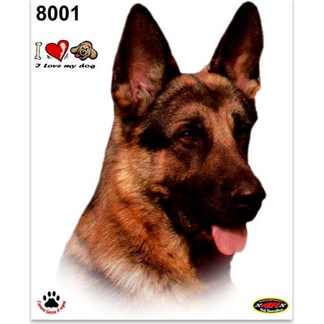 Adesivi Stickers Medi Cane Pastore Tedesco 13,5 x 16 cm (1/4)