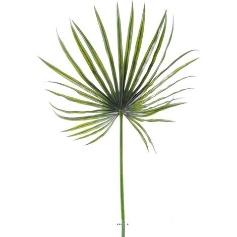 Feuille palmier Chamaerops artificielle H 130 cm D 55 cm PE extérieur