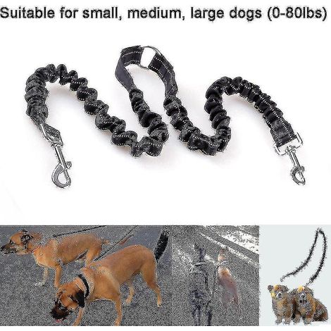 Laisse double élastique pour chien, anti-nœuds, avec séparateur pour promener un chiot de petite ou moyenne taille. (1/5)