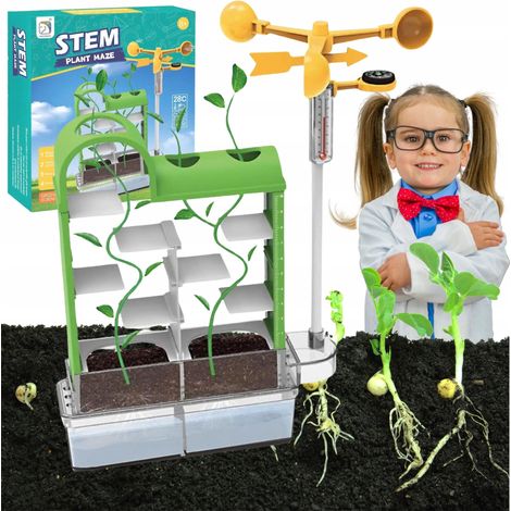 Kit de experimento educativo creativo: Crea tu propia maceta con plantas (Ciencia científica) (1/5)