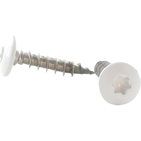 Vis Penture 6X30 Filetage total TORX T30 Inox A2 Laqué blanc RAL9016 blanc signalisation-10 pièces