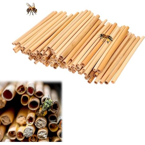 Tubes de Nidification d'Abeilles, Aide à La Nidification, Tubes de Imbriqué pour Abeilles Sauvages, Remplissage de Paille de Blé, 20 cm de Longueur, pour Hôtel à Insectes (1/5)