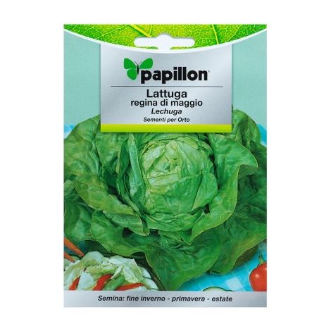 Semi di Lattuga Regina di Maggio (7 grammi) (1/2)