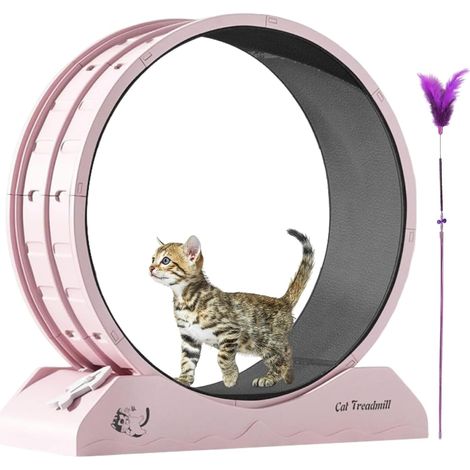 Roue d'exercice silencieuse pour chat - Roue d'exercice pour (1/5)