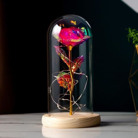 Fleur éternelle - - Rose avec couvercle en verre - Lumières LED - Multicolore - 22 cm (1/5)