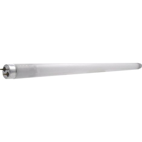 Laes 985160 Lampadina Fluorescente T8 G13, 18 W, bianco, 26 x 604 mm