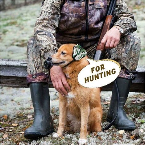 Cache-oreilles pour chiens - protection contre bruit, casque antibruit, feux d'artifice - cache-oreilles Étiquette (1/4)