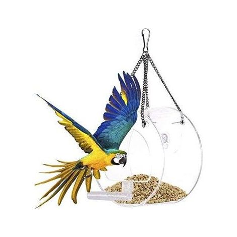 Mangeoire à oiseaux transparente - Acrylique transparent - Résistance aux chocs - Stabilité thermique (1/5)