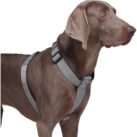 Harnais réglable pour chien avec anneaux en D pour une promenade sans traction, harnais de sécurité durable et confortable avec rembourrage doux pour chiens de toutes tailles