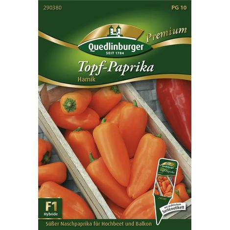 Quedlinburger Saatgut – Poivron en pot Hamik – Graines de légumes, fruits orange coniques, hauteur env. 60 cm (1/2)