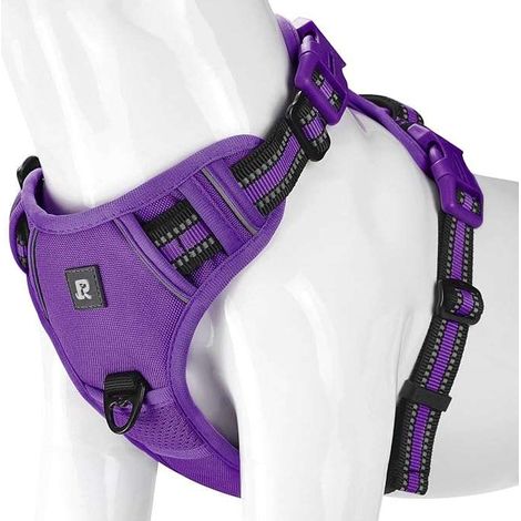 Hundegeschirr mit Leinenclip, Größe L, Lila