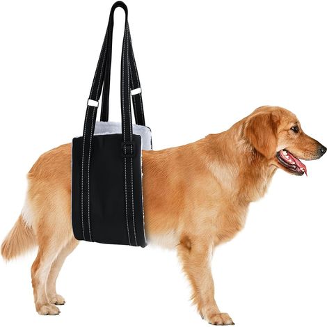 Sangle de soutien des pattes arrière pour grands chiens - Harnais de levage réglable pour chiens seniors, blessés ou en rééducation après une chirurgie du LCA (Petit) (1/5)