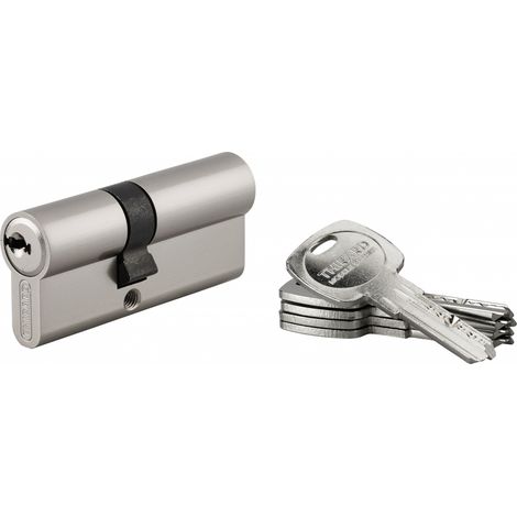 Thirard – Cylindre de serrure double entrée Trafic 6 – 30x40mm – Anti-arrachement, anti-perçage, 6 goupilles, 5 clés – Laiton nickelé