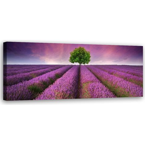 Tableau sur toile Champ de lavande 90x30 (1/5)