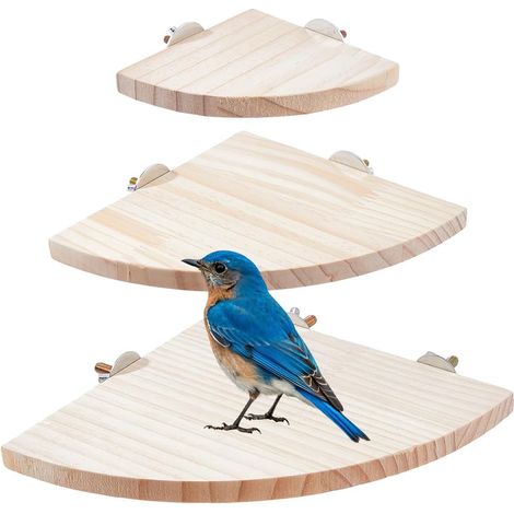 3 Perchoirs en Bois en Forme d'Éventail Plateforme pour Oiseaux pour Cages 10/15/17cm Perchoir en Bois pour Perroquet Accessoires d'Habitat pour Cages de Petits Oiseaux et Animaux (1/5)