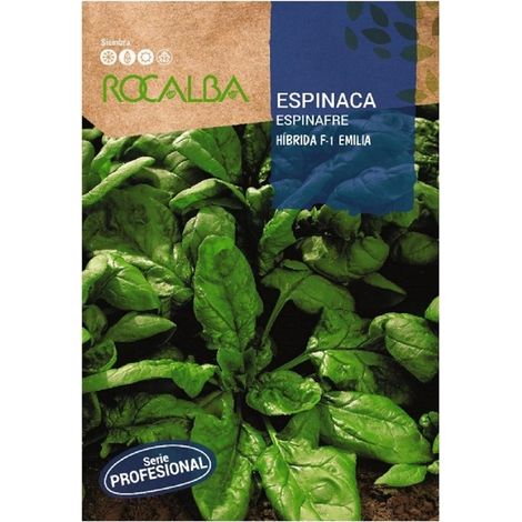Rokalba Seeda Espinaca Emilia F1 500gr