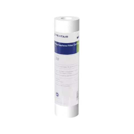 Filtre à Eau Pentair P1 Anti Sédiment