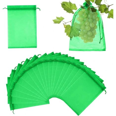 Filiyano-Sacs de protection pour fruits, lot de 24. Sacs de protection pour fruits, filet anti-insectes, sacs en organza, sacs de protection pour (1/5)