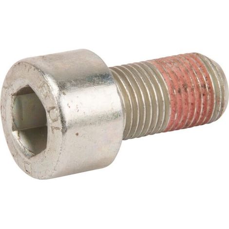 Tornillo MANITOU MA52552319