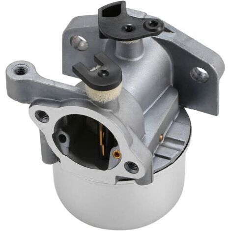 Carburateur carburateur pour Briggs & Stratton 799871 790845 799866 796707 794304 (1/5)
