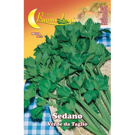 SEMI ORTO SEDANO VERDE DA TAGLIO- HORTUS SEMENTI- 10,0 pz