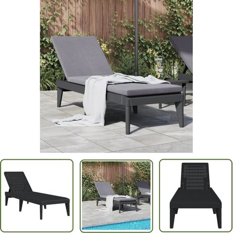 The Living Store Sonnenliege Anthrazit 186x60x29 cm PP - Sonnenliege - Gartenliege - Außenliege - Poolliege - Relaxliege (1/5)