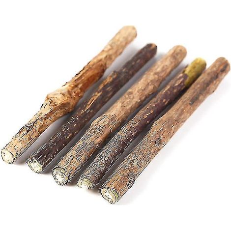 Lot de 5 bâtonnets à mâcher naturels pour chat, pour le nettoyage des dents des chatons. (1/5)