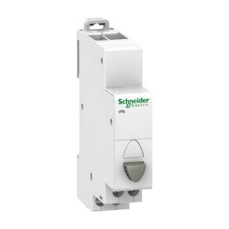 Bouton poussoir modulaire 20A 1NO 1NC gris iBP A9E18033