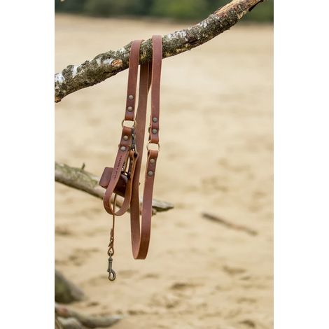 Laisse réglable en cuir pleine fleur pour chien - Laisse multiposition marron 220 cm - PANGIVO (1/5)