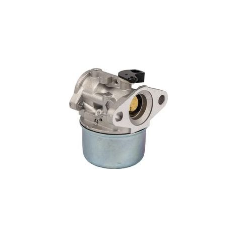 Carburateur 799868 avec joint et joint torique de Compatible with carburateur Briggs & Stratton 498170 498254 497347 497314 (1/4)