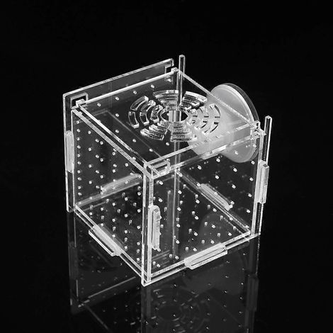 Fischzuchtbox Aquarium Kleiner Inkubator mit Saugnapf für neugeborene Garnelen