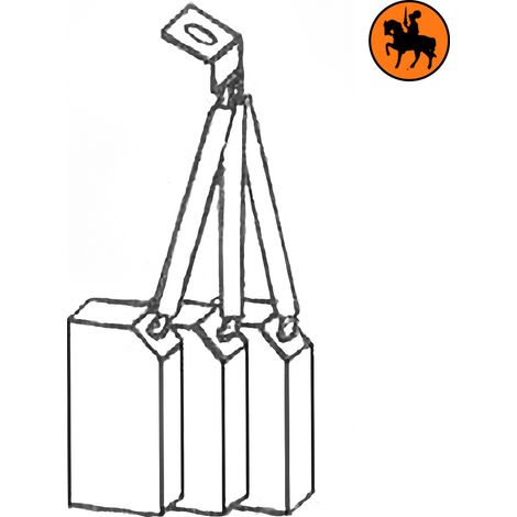 Ensemble de 4 balais de charbon WAGNER 013529 10x16x31mm