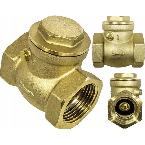 Brass Check Valve (1/5)