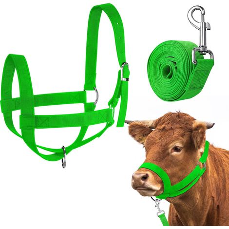 1 Licol,Corde de plomb,Nylon,Réglable,Menton et gorge,Cheval,Âne,Chèvre,Poulain.. (1/4)