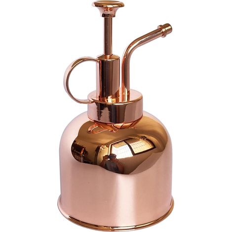 Flacon pulvérisateur en Acier Inoxydable pour Plantes-Petit arrosoir-Outils de Jardinage Modernes pour Plantes en Pot d'intérieur-Arrosage et pulvérisation (Or Rose, 0.3L)