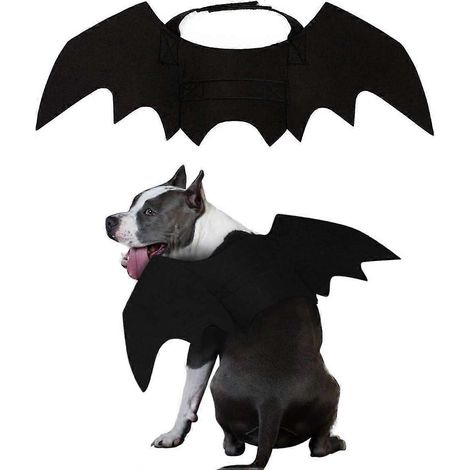 Déguisement pour chien/chat/vampire/chauve-souris (grande taille) - Costume d'Halloween (1/5)