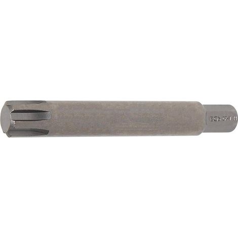 Douille à Embouts 100 mm - 10 mm (3/8), Profil Cannelé M14 - Précision et Robustesse, Acier - D-Work