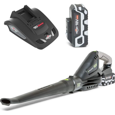 Murray IQ18LBK kit consoffiatore per foglie a Batteria 18V agli Ioni di Litio, include Batteria da 5Ah e Caricabatteria, Velocità Aria 225 km/h, Garanzia 5 Anni (1/5)