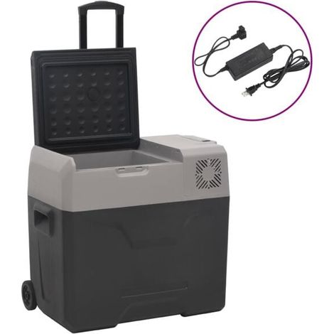 Caisse isotherme à roulettes avec adaptateur, gris foncé, 50 litres, polypropylène. (1/5)