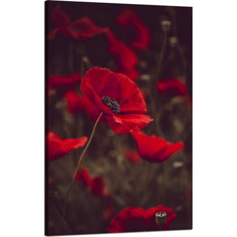 Stampa su tela "Botanica Papaveri Rossi" 50x80 cm