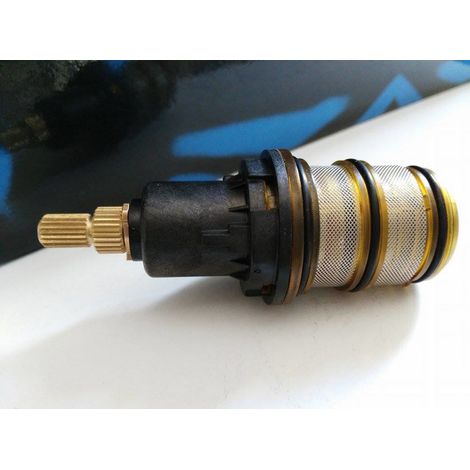 Ricambio cartuccia termostatica per box doccia Vitaviva 10029585 (1/3)