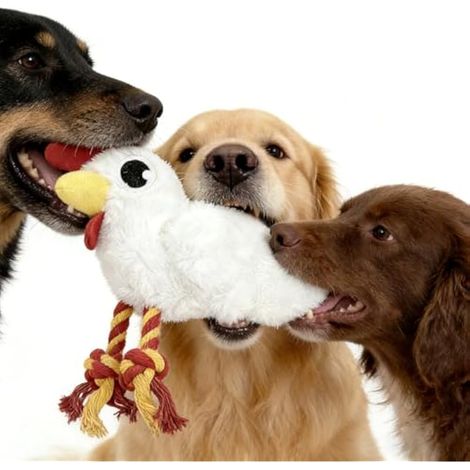 Jouet en forme de poulet blanc pour chien avec couineur pour chiens de taille moyenne et grande taille, jouet interactif à macher et à tirer à la corde, corde en coton et tissu doux pour le dressage (1/5)